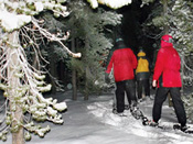 Berkshire Skiing, Berkshire Ski Areas, Berkshire County Skiing, Berkshire County Ski Areas